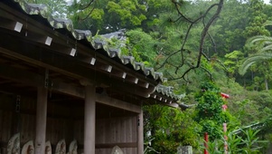 4K雨天寺庙
