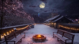 月夜雪天小院