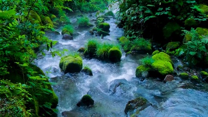 4k山中溪流