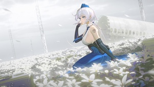 大橙 花海