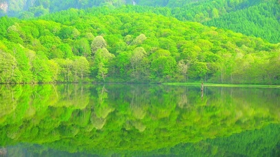 宁静治愈山水 4K