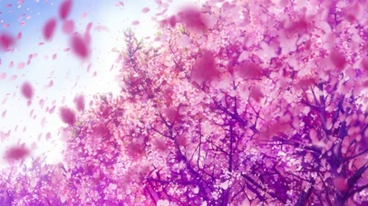 Clannad樱花树下古河渚