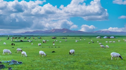 蓝天羊群