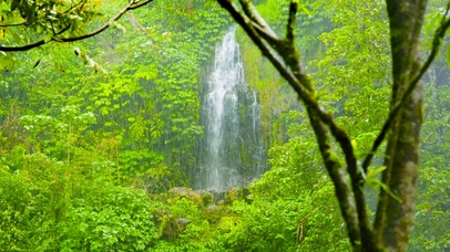 雨林瀑布