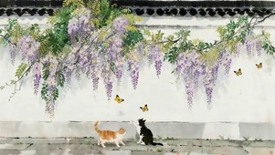 院墙下猫咪