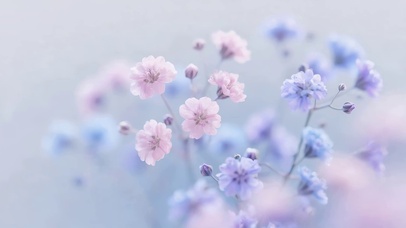 小清新鲜花
