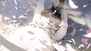 可爱猫咪