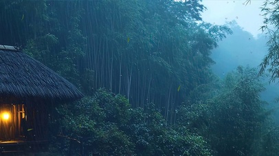 护眼雨天竹林带鱼屏