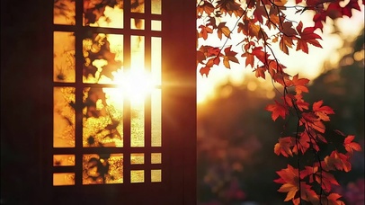唯美庭院枫叶落日光影
