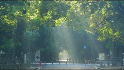 爱世间温暖万物 沿途为美景停留