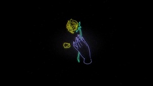 玫瑰花