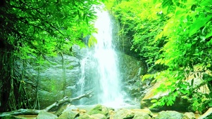 唯美山涧瀑布 4K