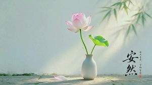 荷花安然