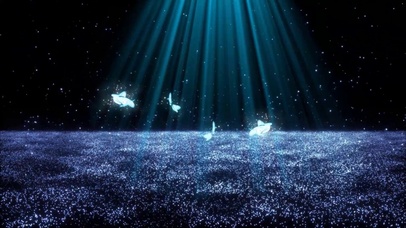 庄生晓梦迷蝴蝶【4K】