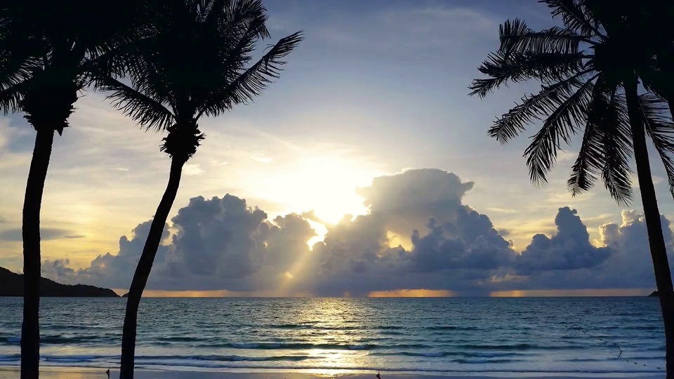 海边日落海景，前景分布棕榈树深色剪影，低垂太阳从厚重积云后透出暖光，海面铺展着金色阳光反射光带，天空由暖黄过渡为灰蓝色。