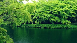 下雨天的绿林湖
