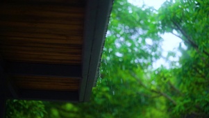 4K护眼治愈屋檐雨