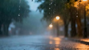 夜晚雨滴带鱼屏