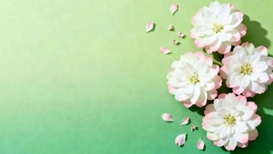 护眼花草
