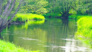 绿草河流