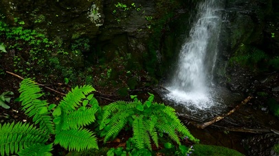 夏日清凉溪水瀑布