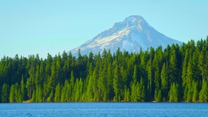 高山森林湖泊