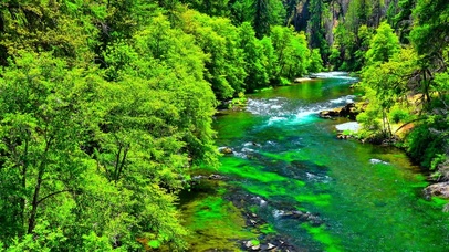 治愈碧绿小河流水4K