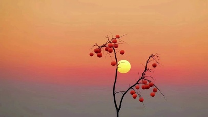 落日余晖 夕阳晚霞