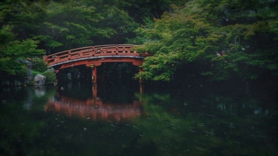 春雨河桥