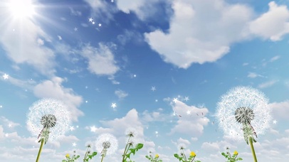 蓝天白云蒲公英阳光晴天儿童节