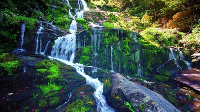 唯美山涧溪流4K