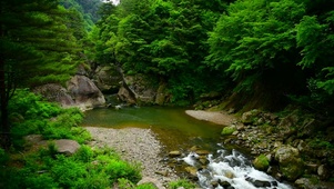 4K山涧峡谷小溪