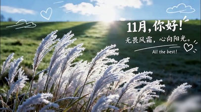 11月你好心向阳光