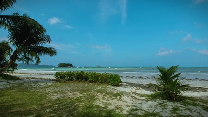 海边草地