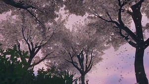 治愈樱花