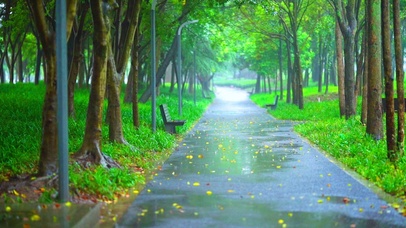 雨天的公园小路