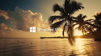 windows10动态壁纸