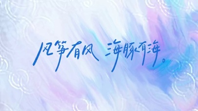 风筝有风 海豚有海