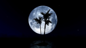 寂静夜晚