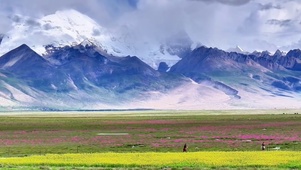 旅途风景