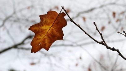 【早秋专题】秋语