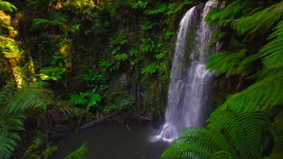 4K夏日绿林山涧瀑布