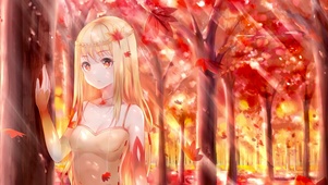 枫娘