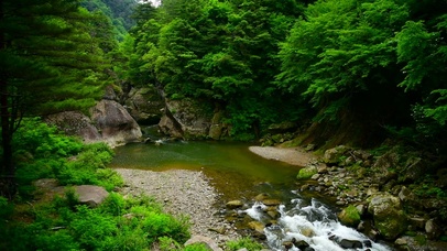 4K山涧峡谷小溪