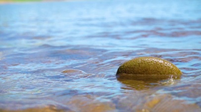 4k唯美夏日夏季夏天风景自然