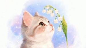 可爱猫咪