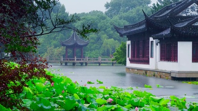 雨天园林荷塘