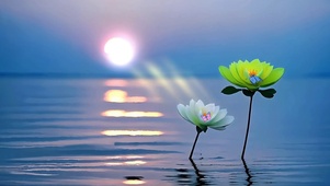 清新早晨
