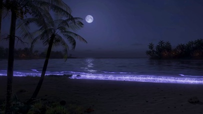 月夜发光海滩