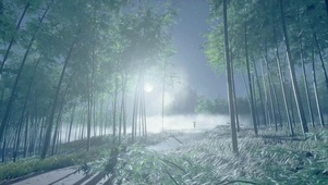 寒夜竹影
